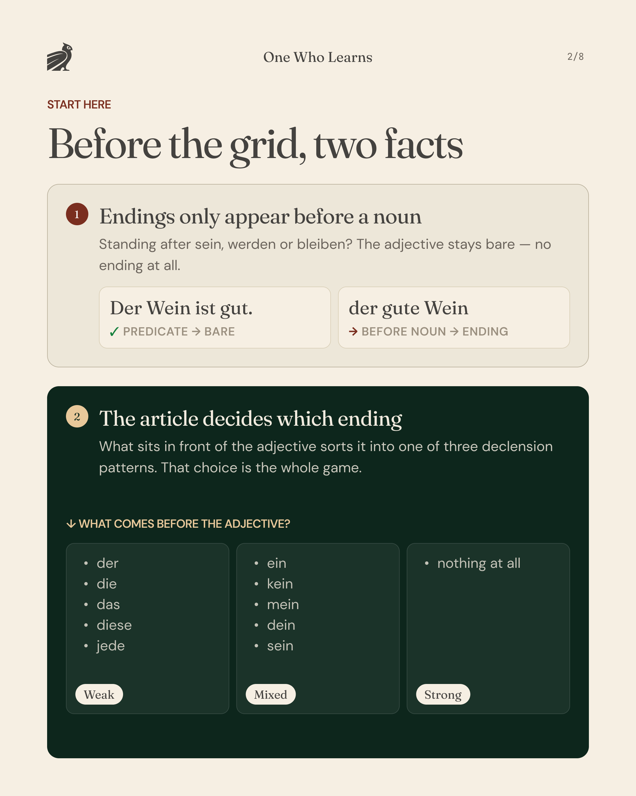 German adjective endings — two facts before the tables: endings appear only before a noun, and the preceding word (der-word, ein-word, or none) sets the pattern as weak, mixed, or strong.