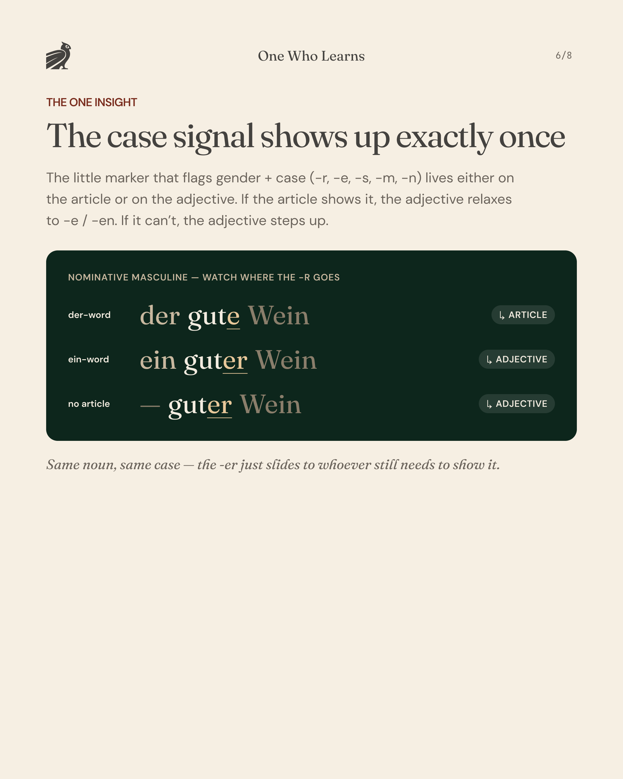 The core rule of German adjective endings: the gender and case marker appears exactly once — der gute Wein versus ein guter Wein and guter Wein.