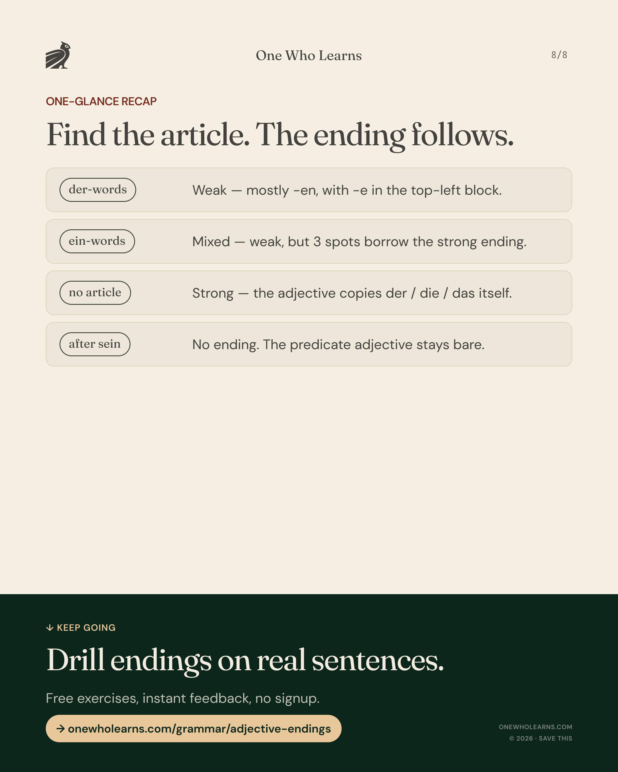 Recap of German adjective endings: der-words take weak endings, ein-words mixed, no article strong, and predicate adjectives after sein stay bare.