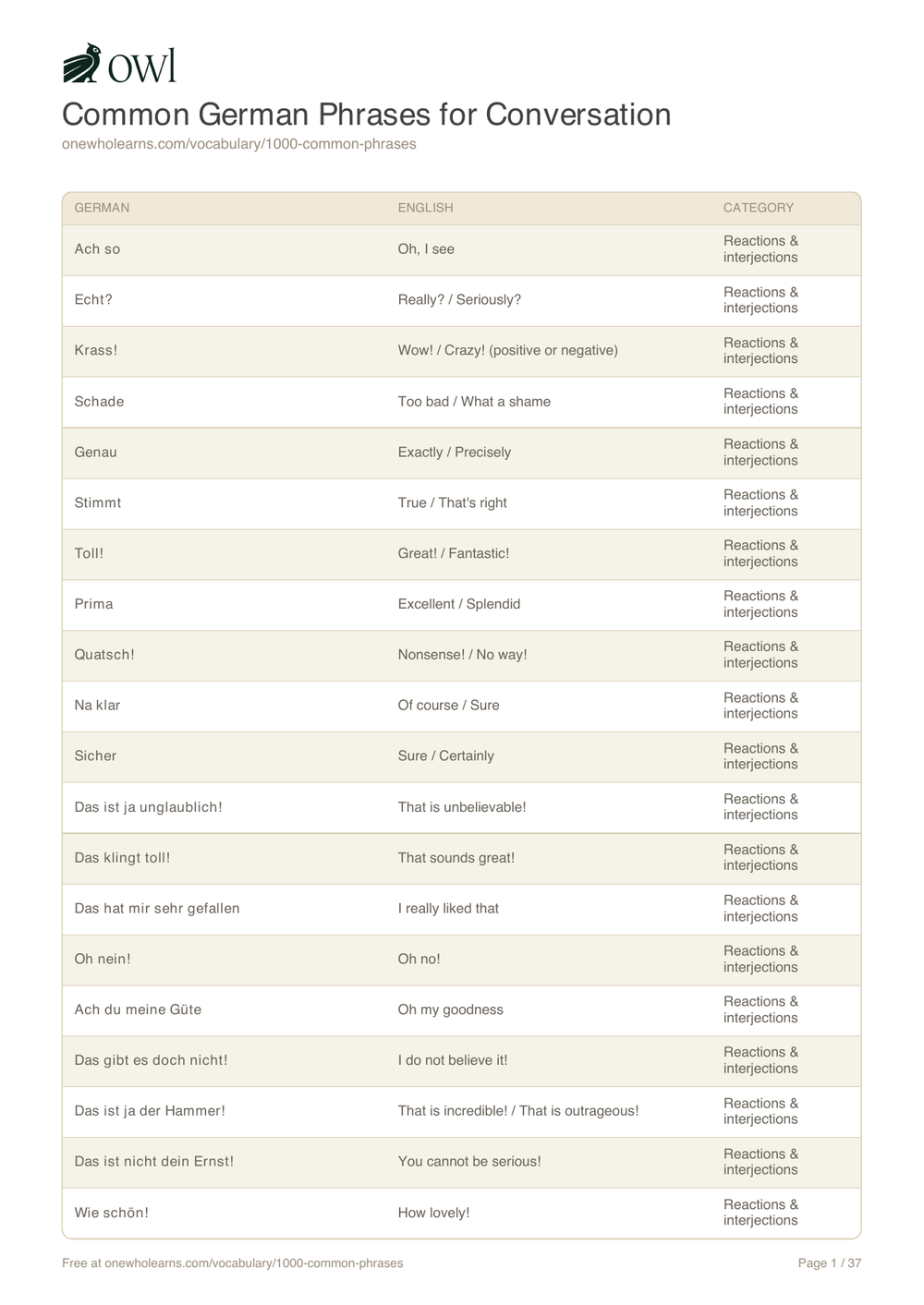 Preview of the free common German phrases PDF with English translations